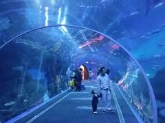 -成都浩海立方海洋公园