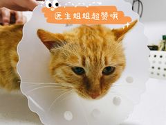 -达爱动物医院·犬猫分区·CT·复杂眼科(远洋山水分院)