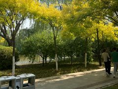 -南翠屏公园