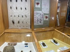 -上海大自然野生昆虫馆(东方明珠·爬宠昆虫探索中心)