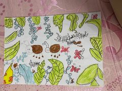 -芸山季·云南山珍菌火锅(南翔印象城MEGA店)