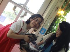 -海边的猫和咖啡馆
