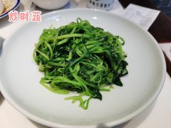 -大海碗·京菜炸酱面(雍和宫店)