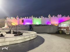 -沈阳奥体冰雪嘉年华