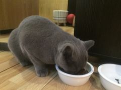 -壹人壹像工作室(购物公园店)