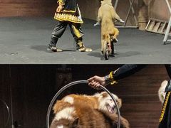-汕头蓝水星欢乐世界