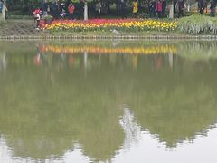 -上海鲜花港