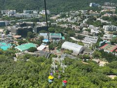 -香港海洋公园