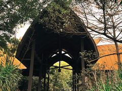 -佛冈熹乐谷温泉度假酒店