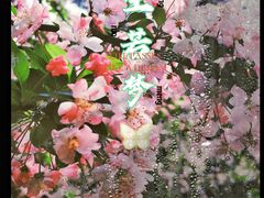 -温江公园