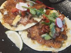 -Cactus墨西哥仙人掌餐厅