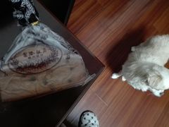水果蛋糕-国际饭店·帆声西饼屋(黄河路店)