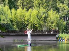 -黄海国家森林公园