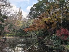 -秋霞圃