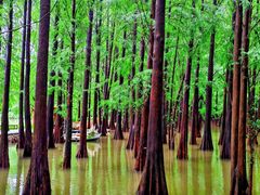 -星湖旅游景区七星岩