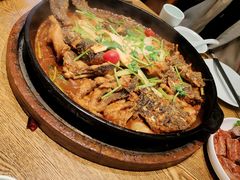 -老板恋上鱼(振华商厦店)