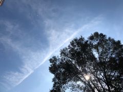 -壹陆陆烧烤(平房总店)