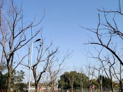 -上海长兴岛郊野公园