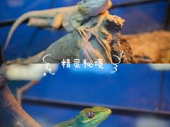 -正佳雨林生态植物园