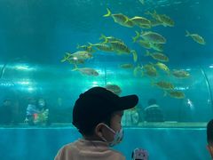 -苏州海洋馆