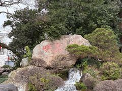 -江心屿景区