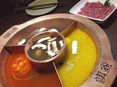 菌王奇香锅-滇釜火锅·能喝汤的火锅(车公庄店)