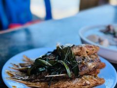 -晓琦农家菜馆·地道农家菜