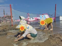 -碧海金沙