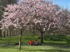 -维多利亚火车站