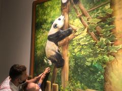 -成都泰迪熊博物馆