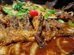 -老板恋上鱼(印象城店)