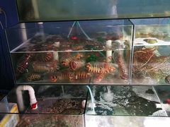 -香港厨房