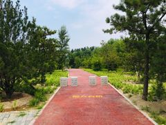 -东郊湿地公园