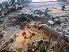 -自贡恐龙博物馆