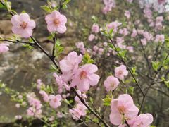 -圣莲山风景区