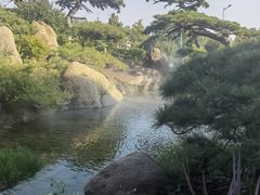 -罗红摄影艺术馆