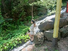 -山叶口景区