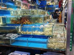 -岳各庄批发市场(西四环中路店)