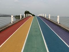 -贡湖湾湿地公园