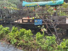 -花溪雨·森林餐厅(石基店)