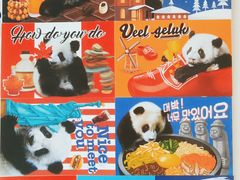 -熊猫邮局(少城店)