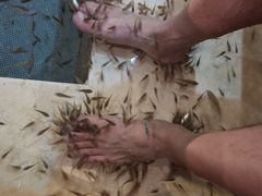 -中家鑫园温泉酒店鑫悦汤泉