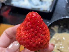 -果松木炭酸菜铜火锅·外婆参鸡汤