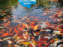-南昌动物园