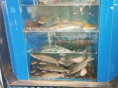-鱼酷活鱼烤鱼(梅江印象城店)
