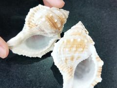 -尚品海鲜大排档