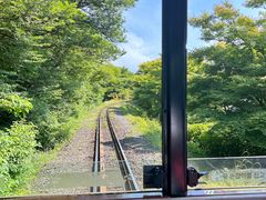 -济州森林小火车生态公园