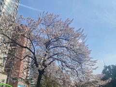 -红星桥(地铁站)