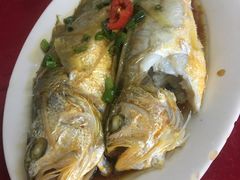 -蛇口康乐快餐鱼仔档(翠苑小区店)