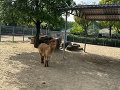 -苏州上方山国家森林公园